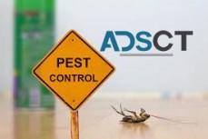 Same Day Pest Control Adelaide