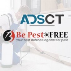 Spider Control Adelaide