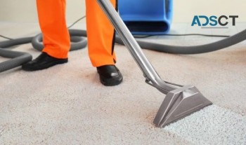 Local Carpet Steam Cleaning Perth