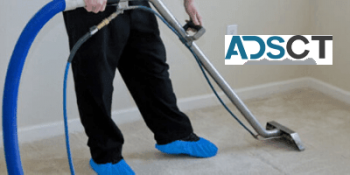 Local Carpet Steam Cleaning Perth