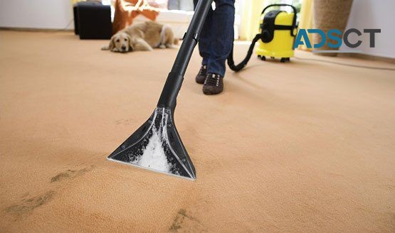Local Carpet Steam Cleaning Perth