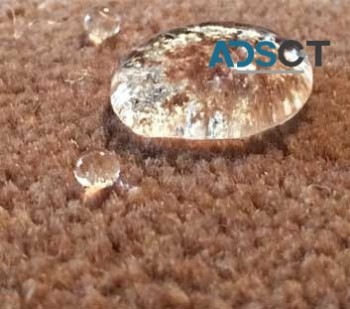 Carpet Cleaning Sydney