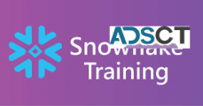 Learn Snowflake course Training from our industry experts