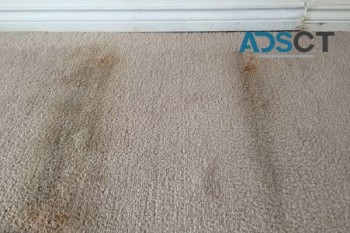 IANS Carpet Cleaning Fremantle