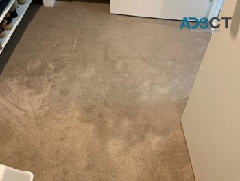 IANS Carpet Cleaning Fremantle