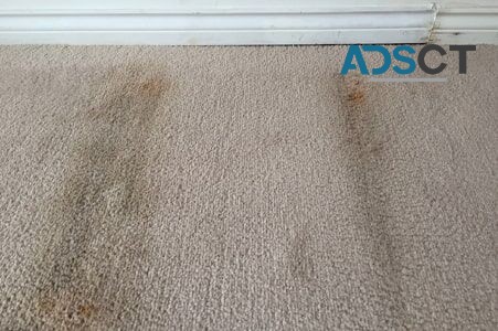 IANS Carpet Cleaning Fremantle