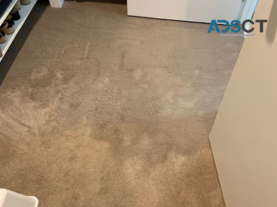 IANS Carpet Cleaning Fremantle