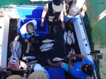 Half day deep sea fishing charters exmouth