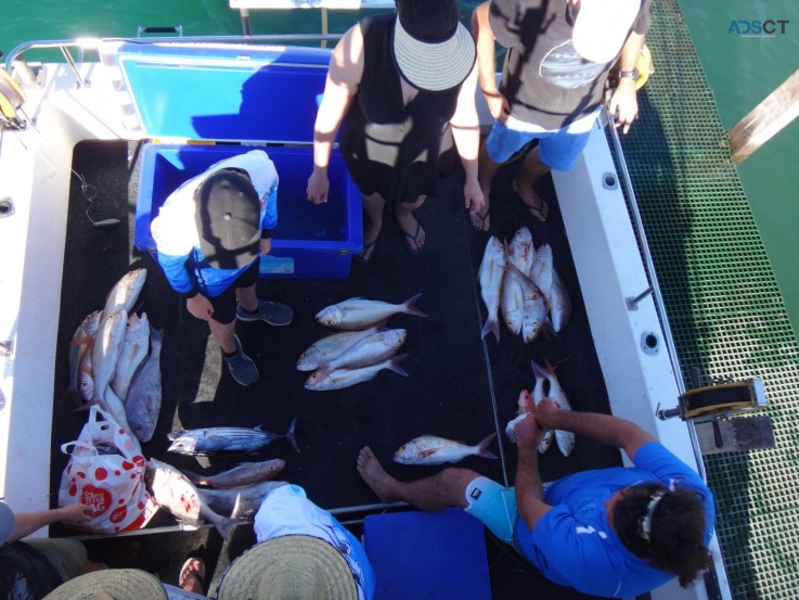 Half day deep sea fishing charters exmouth