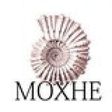 Moxhe · Fresh Australian Seafood