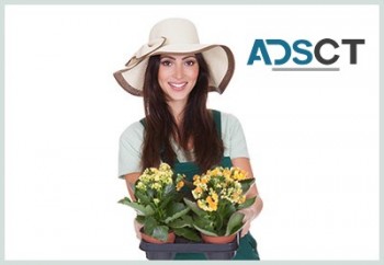 Lawn Mowing & Garden Services in Adelaid