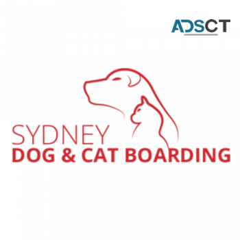 Sydney Dog and Cat Boarding