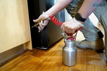 Pest Control Reviews Brisbane | Thelocalguyspestcontrol.com.au