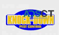 Knockdown Pest Control Sydney