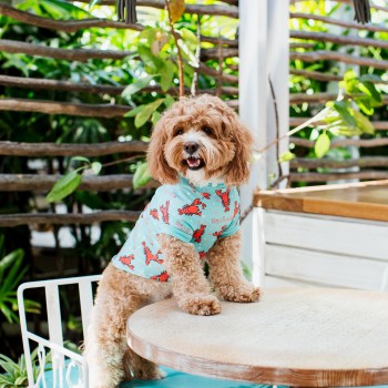 Betty's Burgers & Concrete Co