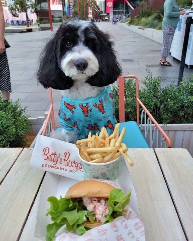 Betty's Burgers & Concrete Co