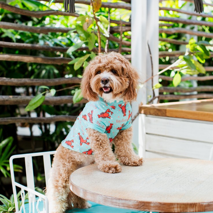 Betty's Burgers & Concrete Co