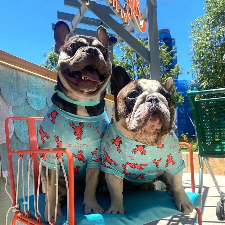 Betty's Burgers & Concrete Co