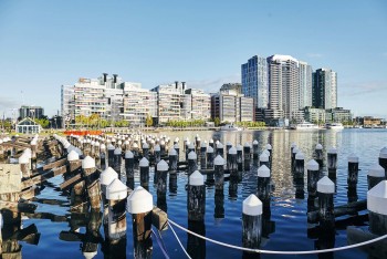 New Quay International Buffet & Bar