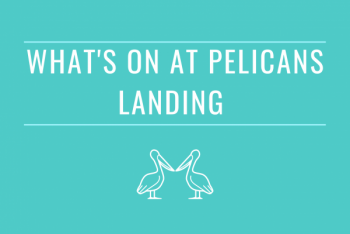 Pelicans Landing
