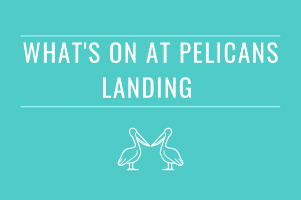 Pelicans Landing