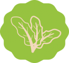 Holy Bowly Superfood Bar Pty Ltd