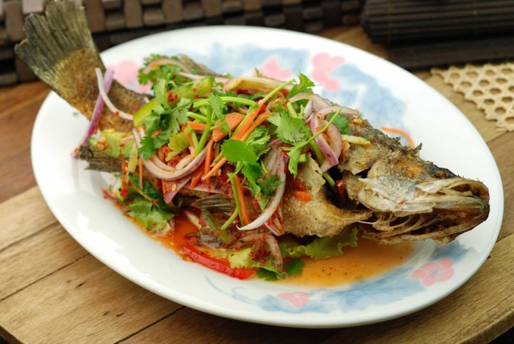 JonkerStreet Pty Ltd