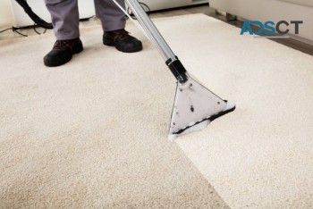 Upholstery Cleaning Adelaide