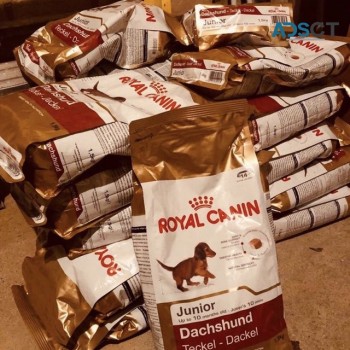 Royal Canin So Dry Cats Food  and dog