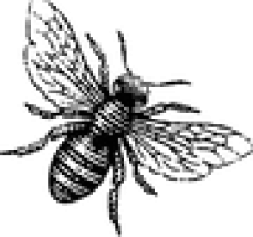 The House Of Honey & The Sticky Spoon Cafe