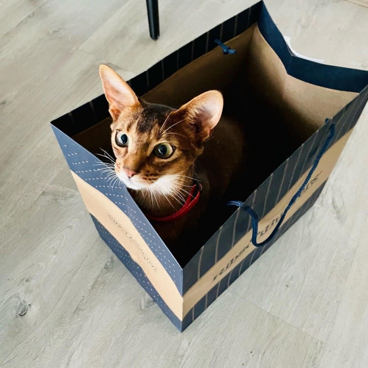 Ribs & Burgers Mandurah