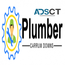 Plumber Carrum Downs