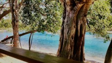 The Boatshed Currumbin