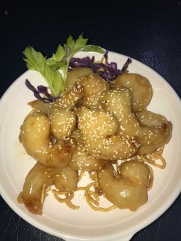 Gold Coast Accommodation Network