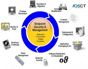 Managed Microsoft Defender for Endpoint | TOS