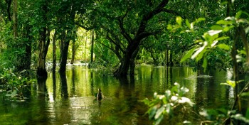 Howard Springs Tavern