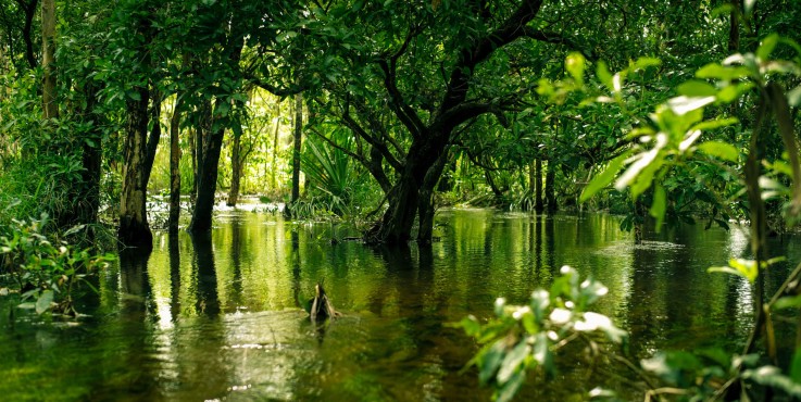 Howard Springs Tavern