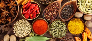 Masala Indian Cuisine