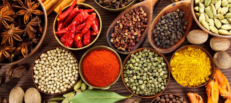 Masala Indian Cuisine