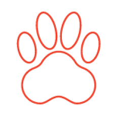 Country Plaza Motor Inn