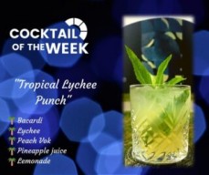 The Hollow Beach Bar & Grill