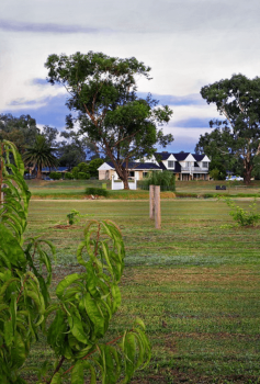 The Duck Inn Apartments