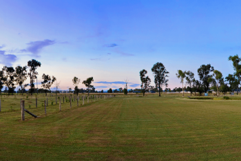 The Duck Inn Apartments