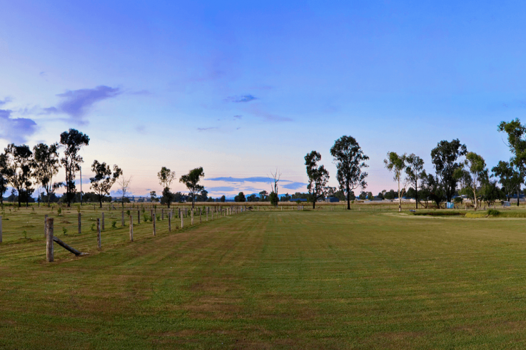 The Duck Inn Apartments