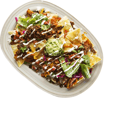 The Burrito Bar