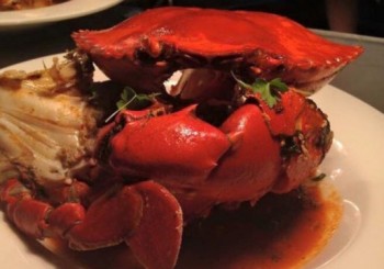 Barolos Ristorante Italiano