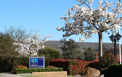 Hume Country Motor Inn