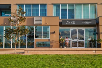 Zebu Bar   Grill