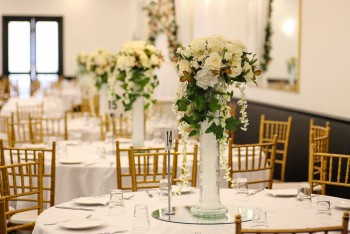 Amberlee Receptions