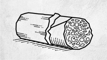 Mad Mex Fresh Mexican Grill